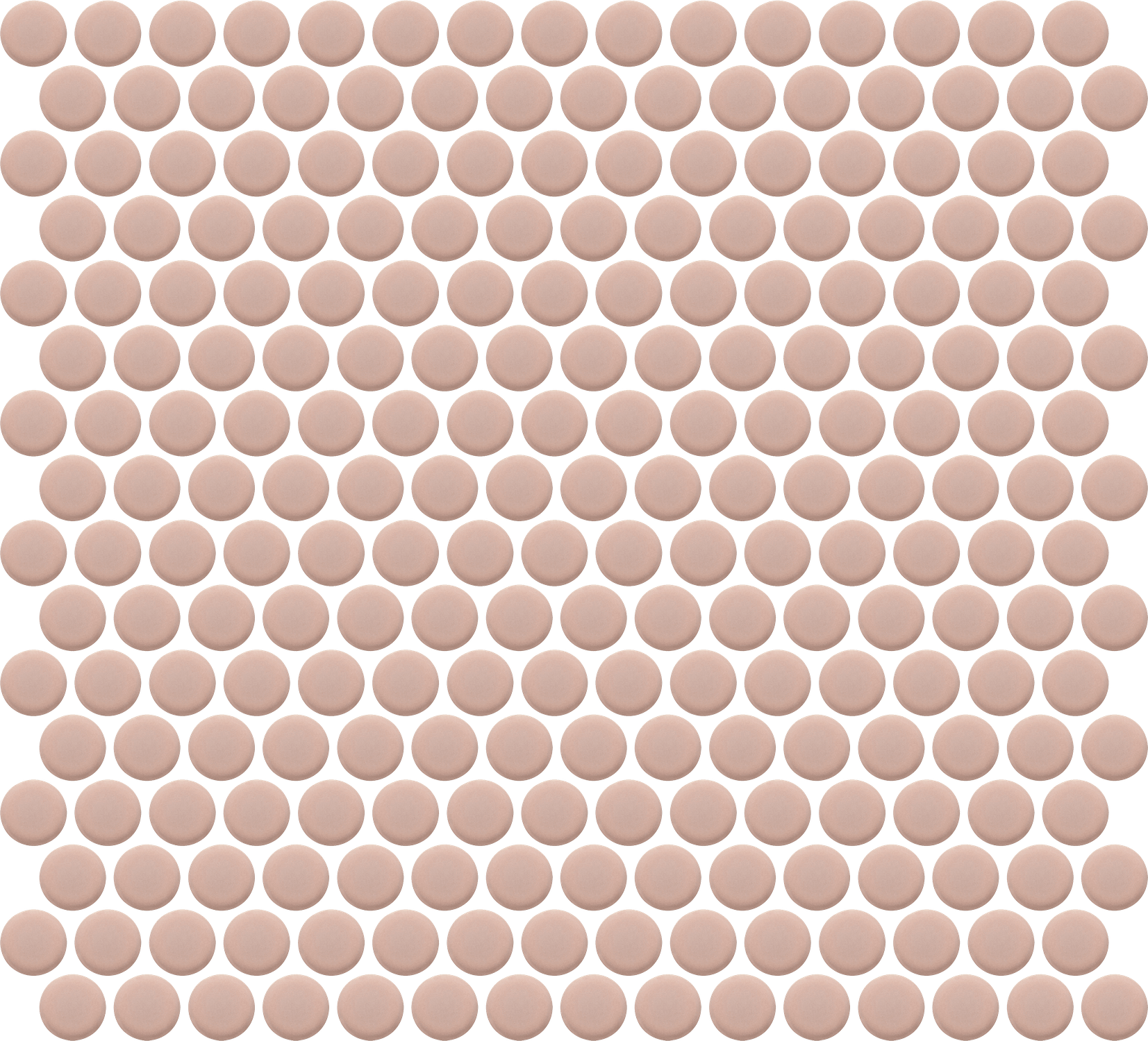 Rose Dots.jpg